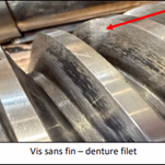 Vis-sans-fin-denture-filetSETAM-VALTHORENS-MERGER